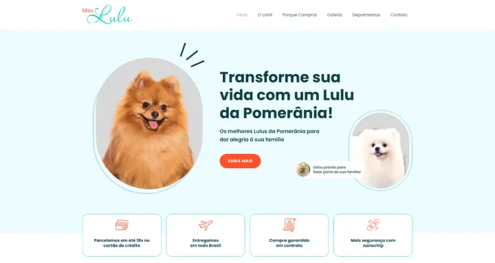 Página inicial do site Meu Lulu desenvolvido pela RAKWEB