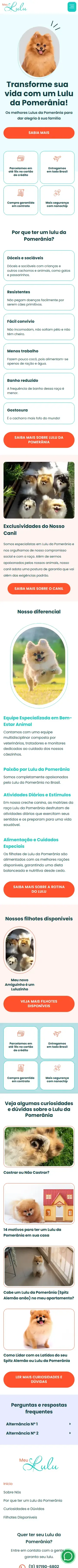 Versão responsiva do site Meu Lulu em vários dispositivos